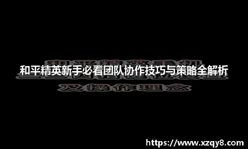 熊猫体育官网入口