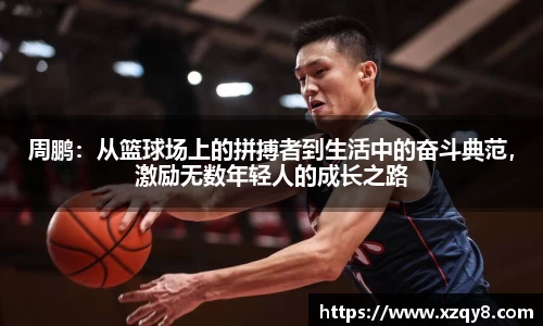 熊猫体育官网入口